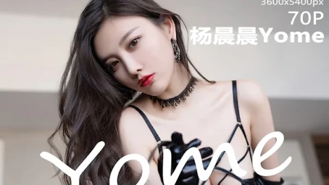 优质视频完整版观看影视网